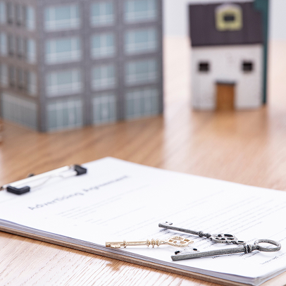 부동산 개발 자문